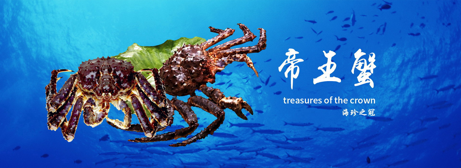 星空体育登录入口网页