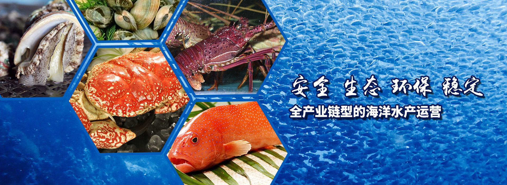 星空体育app官网入口