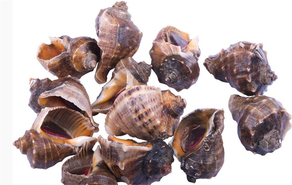 星空体育登录:2025-10-29