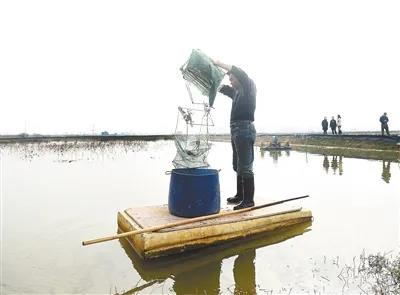 星空体育登录:高市早苗对华反击很猛联合国都管不了我国头号辅佐已做好预备